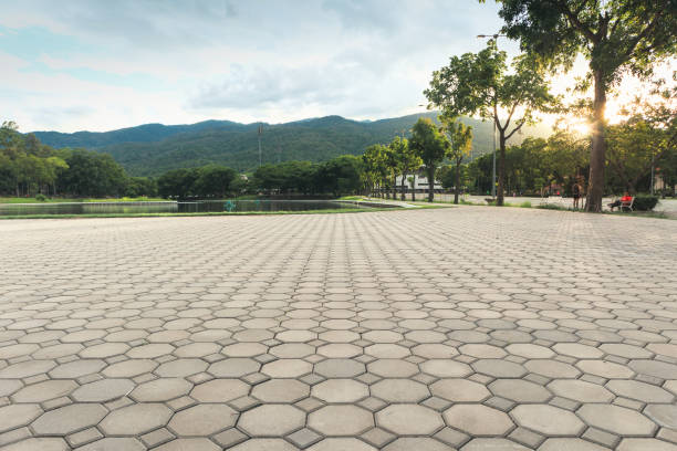 Best Residential Paver Driveway  in Palm Beach Shores, FL